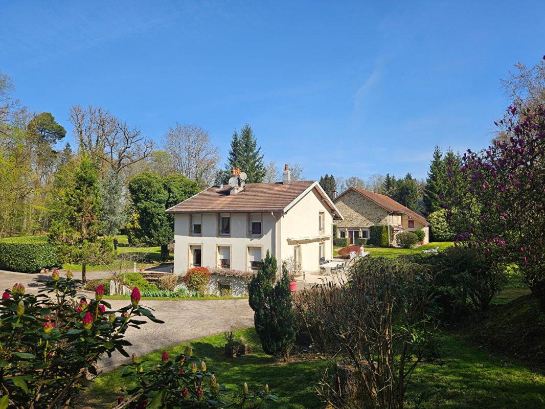 EPINAL Magnifique propriété arborée au coeur d'Epinal 7