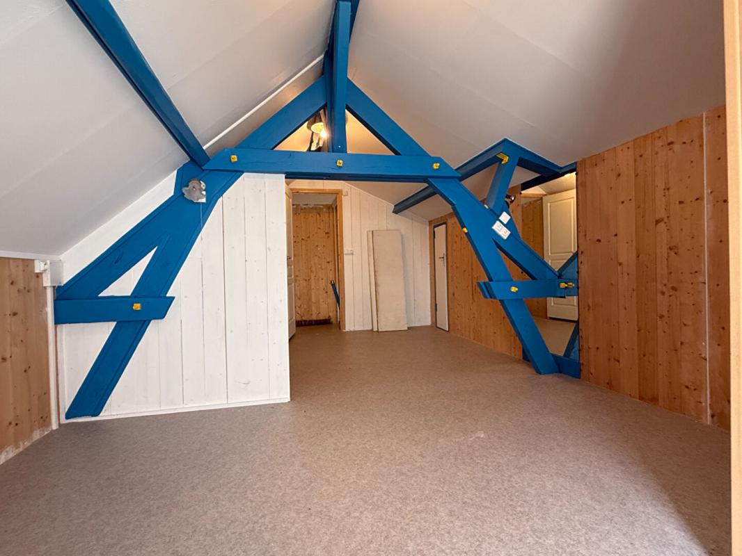 YZEURE Maison Yzeure avec dépendance cave Jardin puits atelier 9