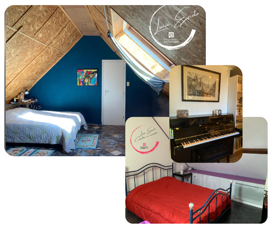 SAINT-MEDARD-LA-ROCHETTE Maison de campagne 159 m² 5 chambres Terrain 8000 m² Proche Aubusson 9