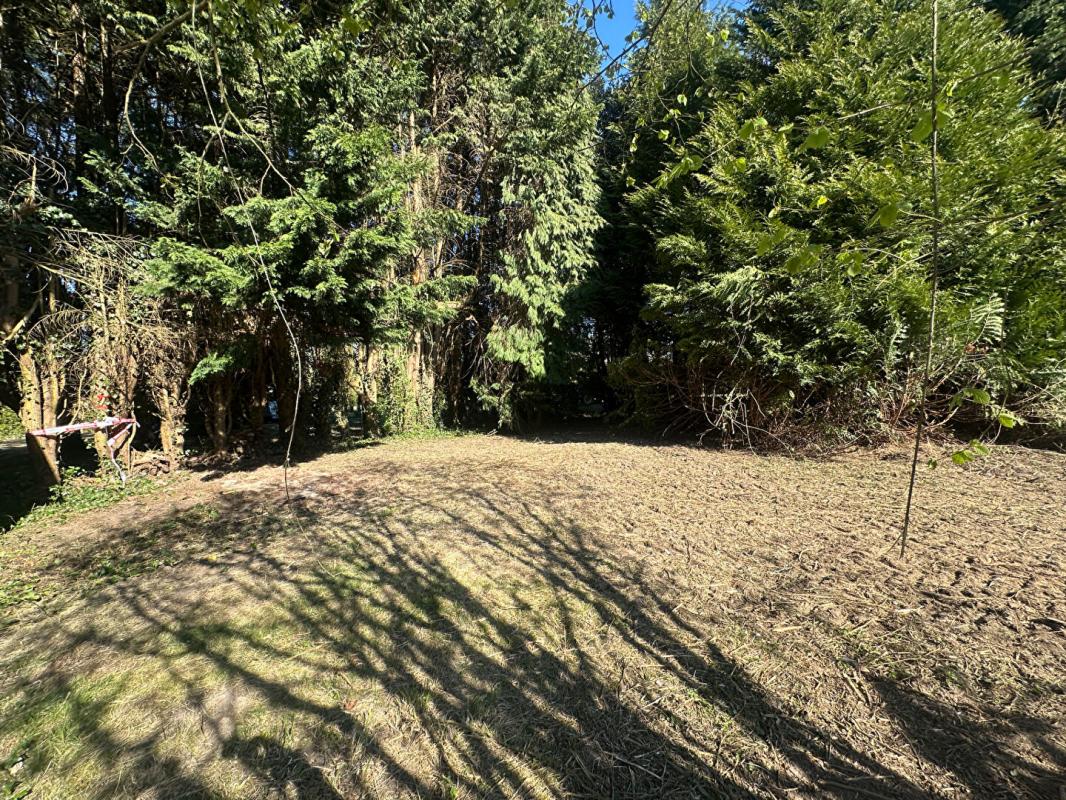 PONT-L'EVEQUE Longère Normande en colombage,  à rénover sur grand terrain de 5154m² 10