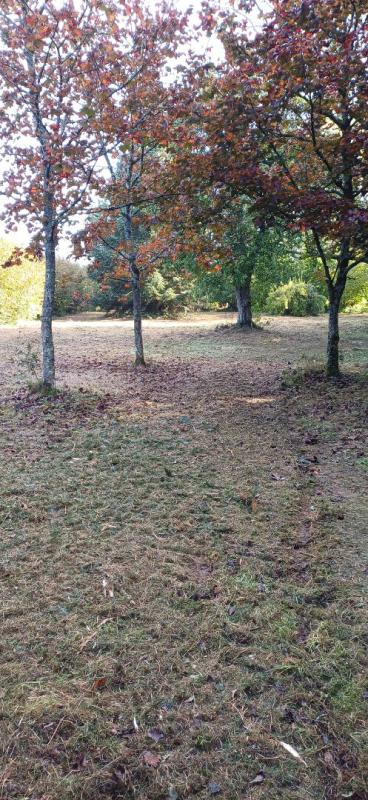 PONT-L'EVEQUE Longère Normande en colombage,  à rénover sur grand terrain de 5154m² 13