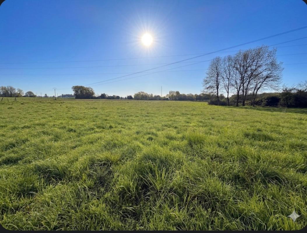 SAINT-SYLVAIN-D'ANJOU LONGERE Verrieres En Anjou 7 pièce(s) 185 m2 16