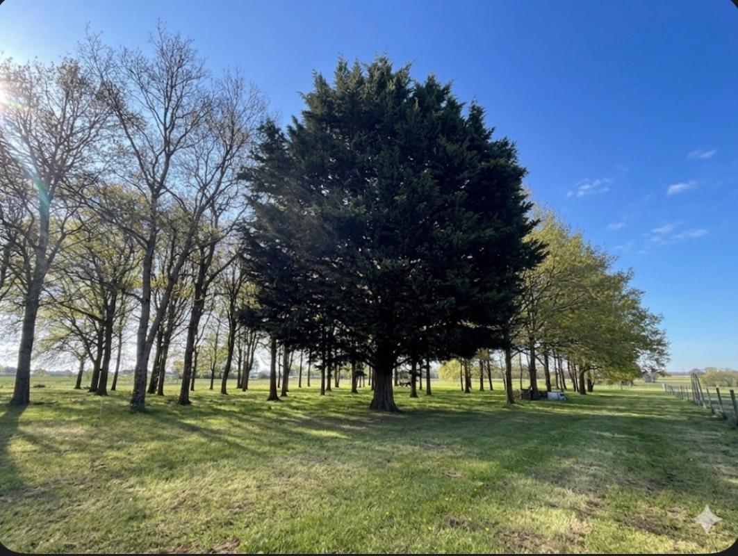 SAINT-SYLVAIN-D'ANJOU LONGERE Verrieres En Anjou 7 pièce(s) 185 m2 6