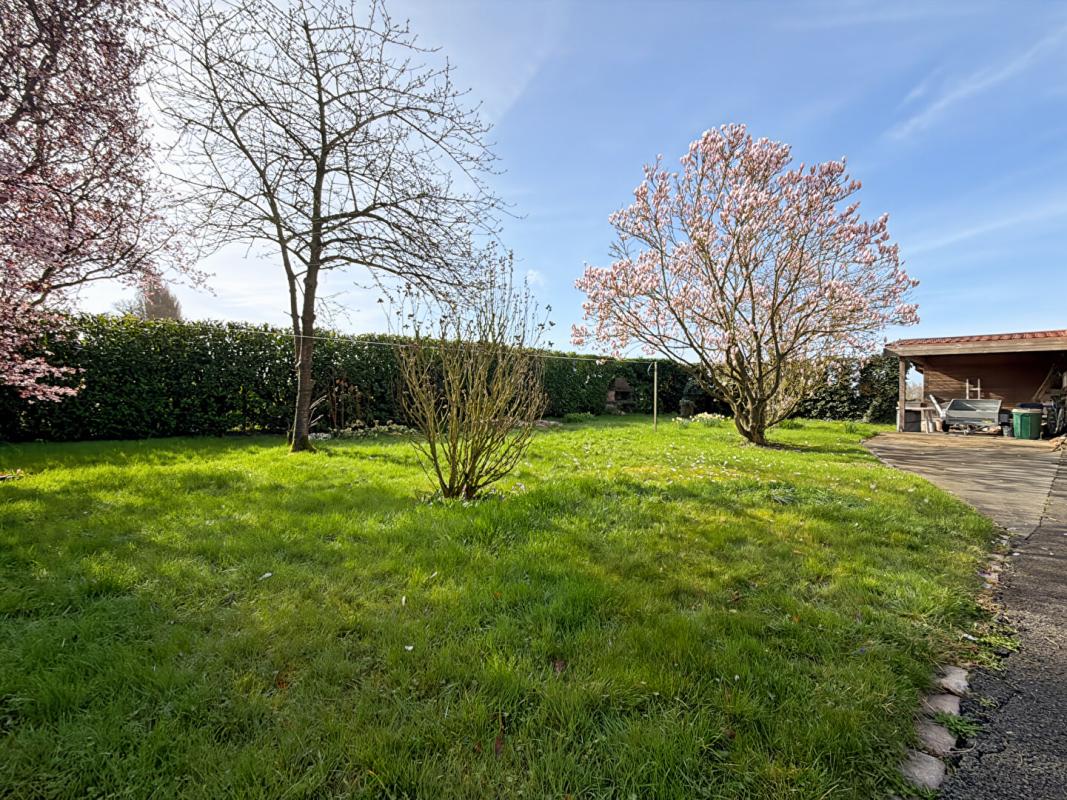 NIEPPE Maison Nieppe 13