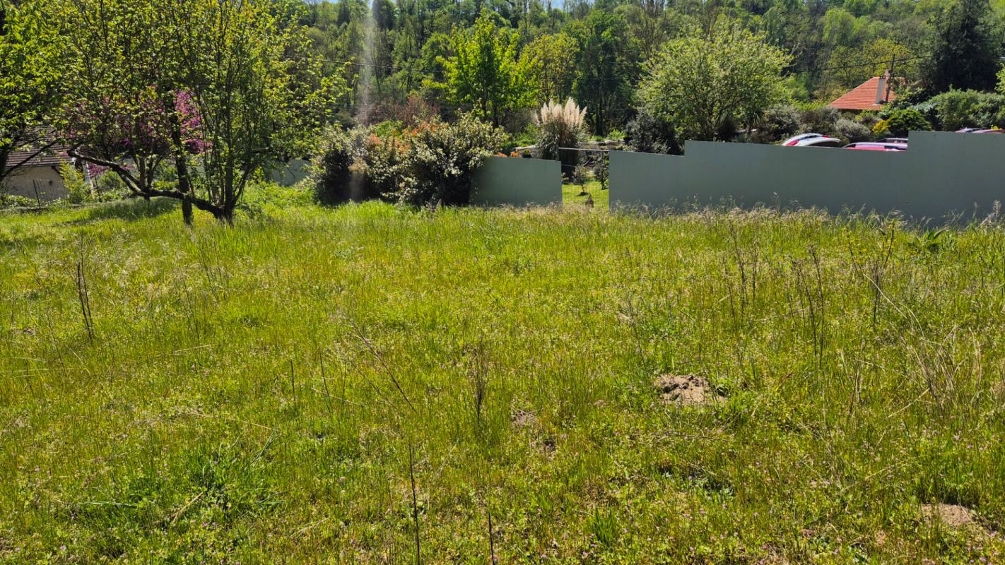 SAINT-LATTIER Terrain Saint Lattier 1193 m2  85 000 Euros 3