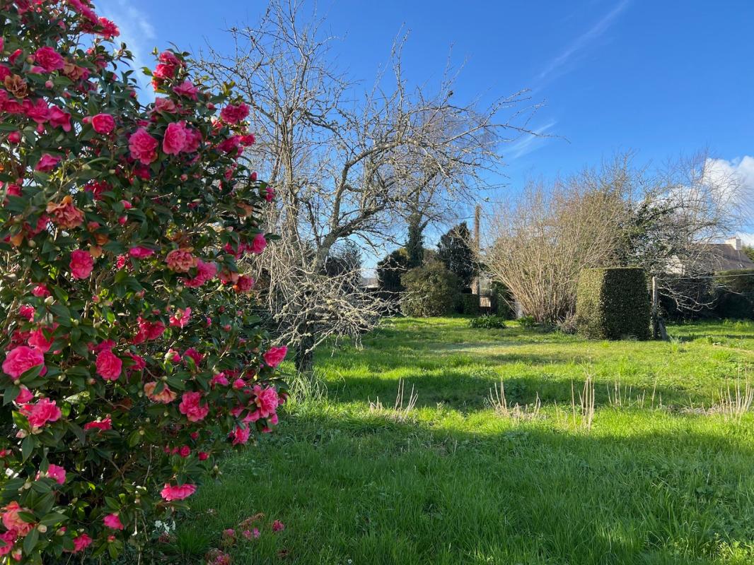 MOELAN-SUR-MER Beau Terrain arboré constructible 820 m2 bourg de Moëlan sur mer 2