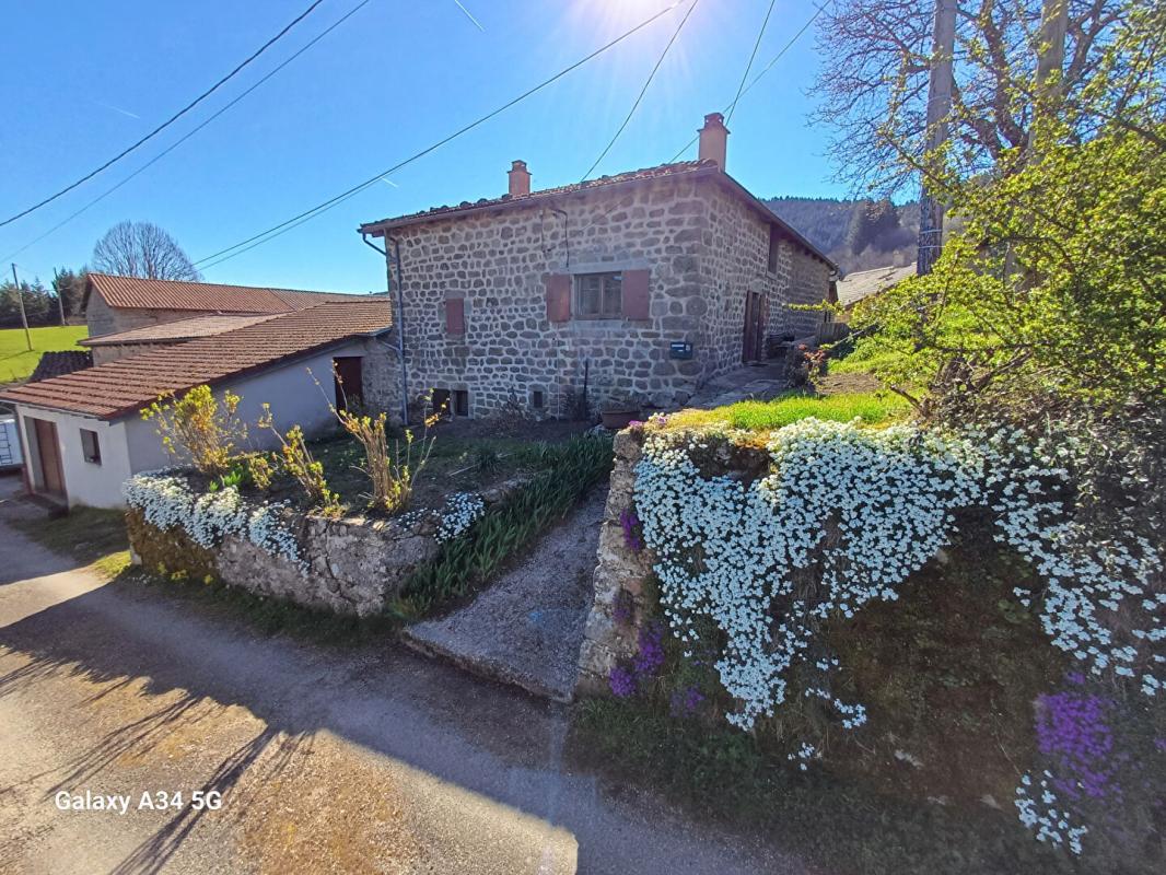 ALBON-D'ARDECHE Maison en pierres de 103m² 1