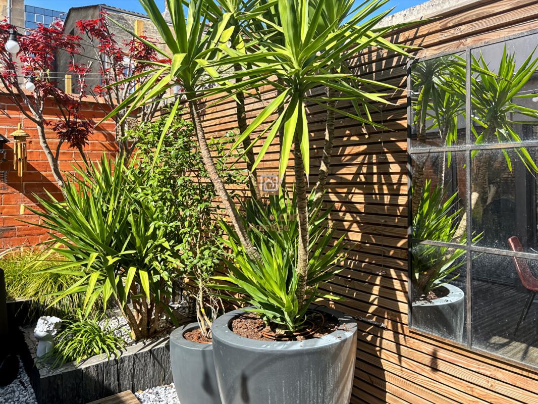 BORDEAUX Bordeaux Saint-Victor Maison d'architecte  d'exception Jardin, Terrasse et Garage 14