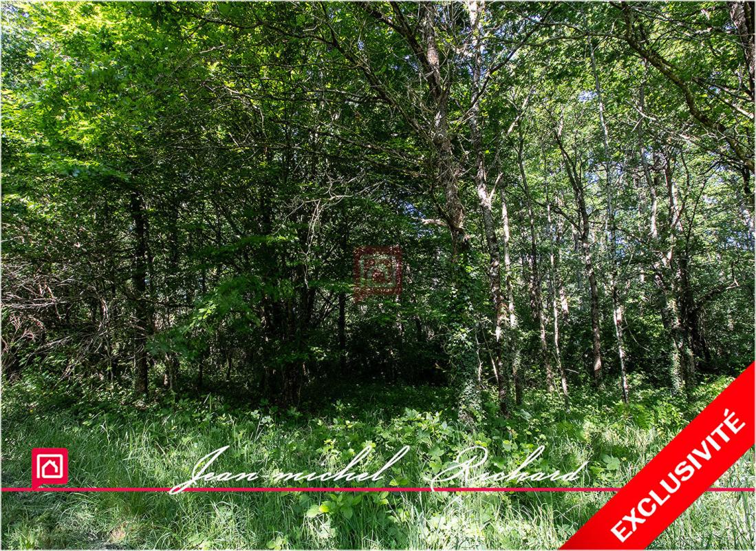 LE CONTROIS-EN-SOLOGNE Terrain de loisirs Le Controis En Sologne 63 m2 1