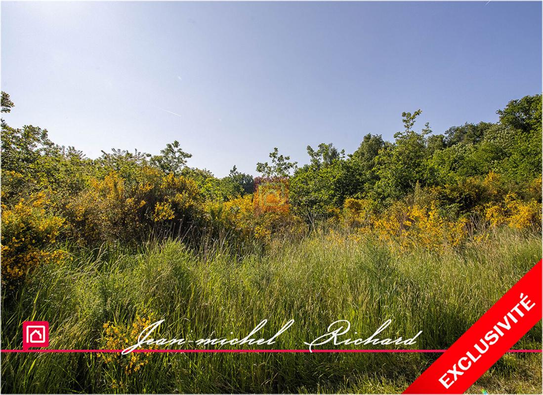 LE CONTROIS-EN-SOLOGNE Terrain de loisirs Le Controis En Sologne 63 m2 3