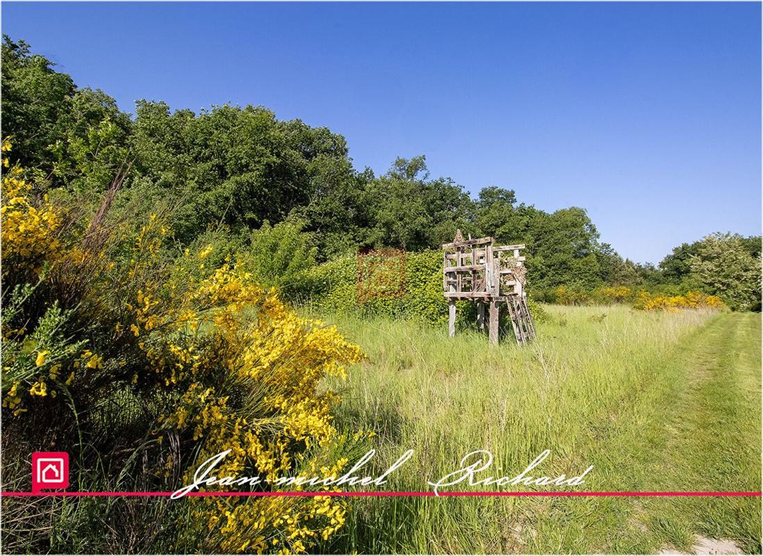 LE CONTROIS-EN-SOLOGNE Terrain de loisirs Le Controis En Sologne 63 m2 5