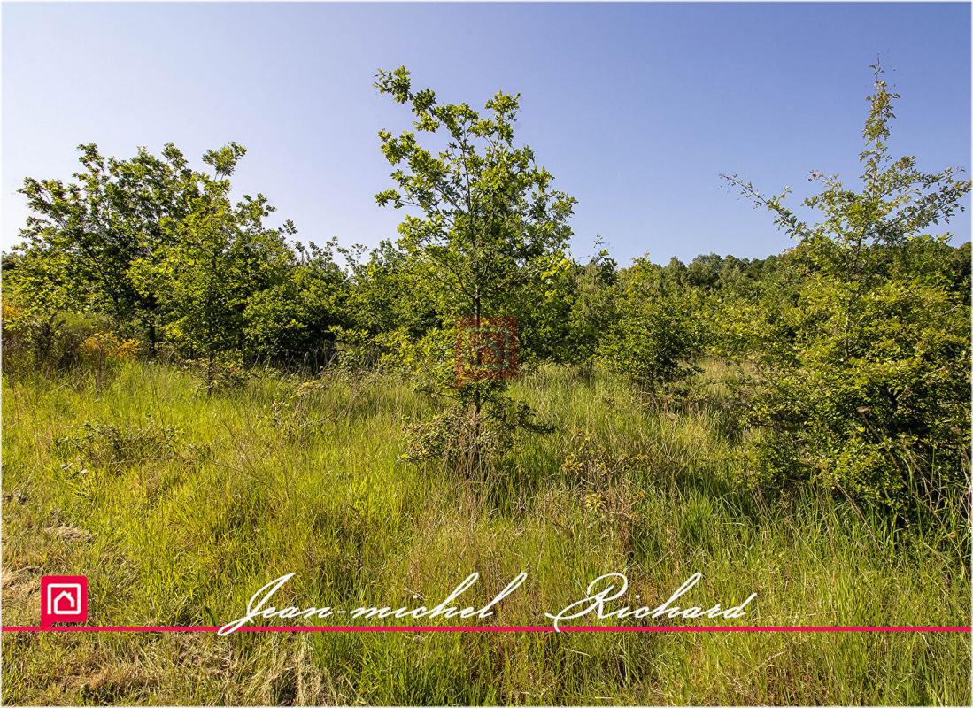 LE CONTROIS-EN-SOLOGNE Terrain de loisirs Le Controis En Sologne 63 m2 7