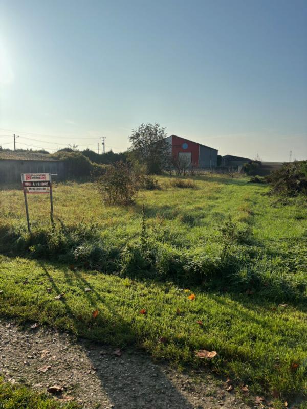 TORCY-LE-GRAND Terrain Torcy le grand 1070 M2 1