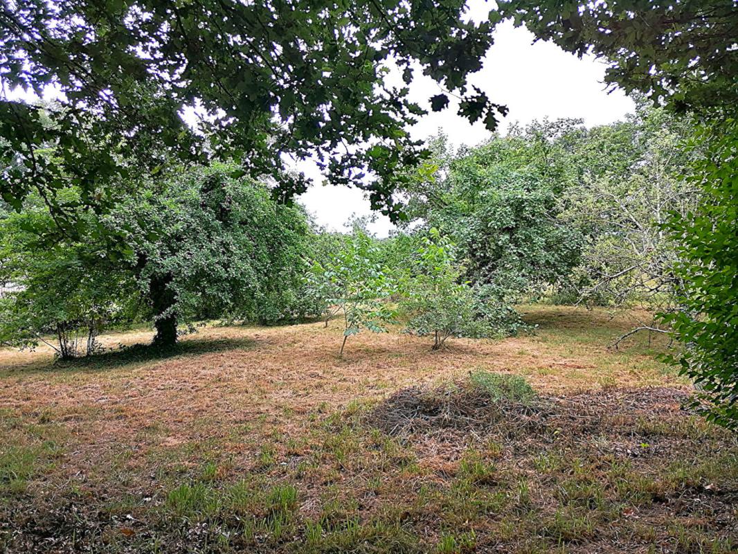 LOYAT Maison en pierre rénovée avec jardin et verger Loyat  107 m2 11