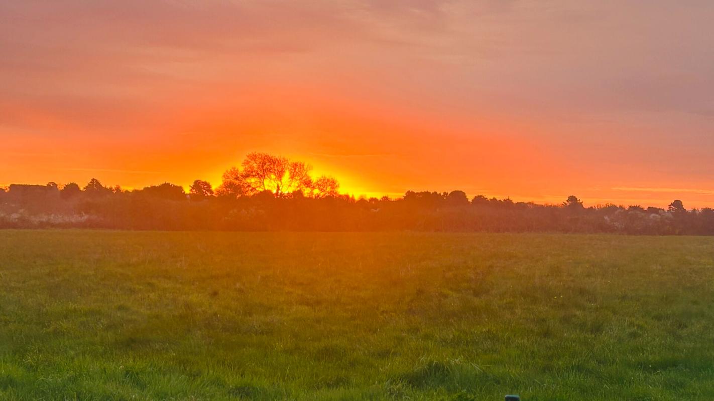 SAINT-GILDAS-DE-RHUYS Belle contemporaine - piscine - 196 m2 - 4 suites - Bureau 6