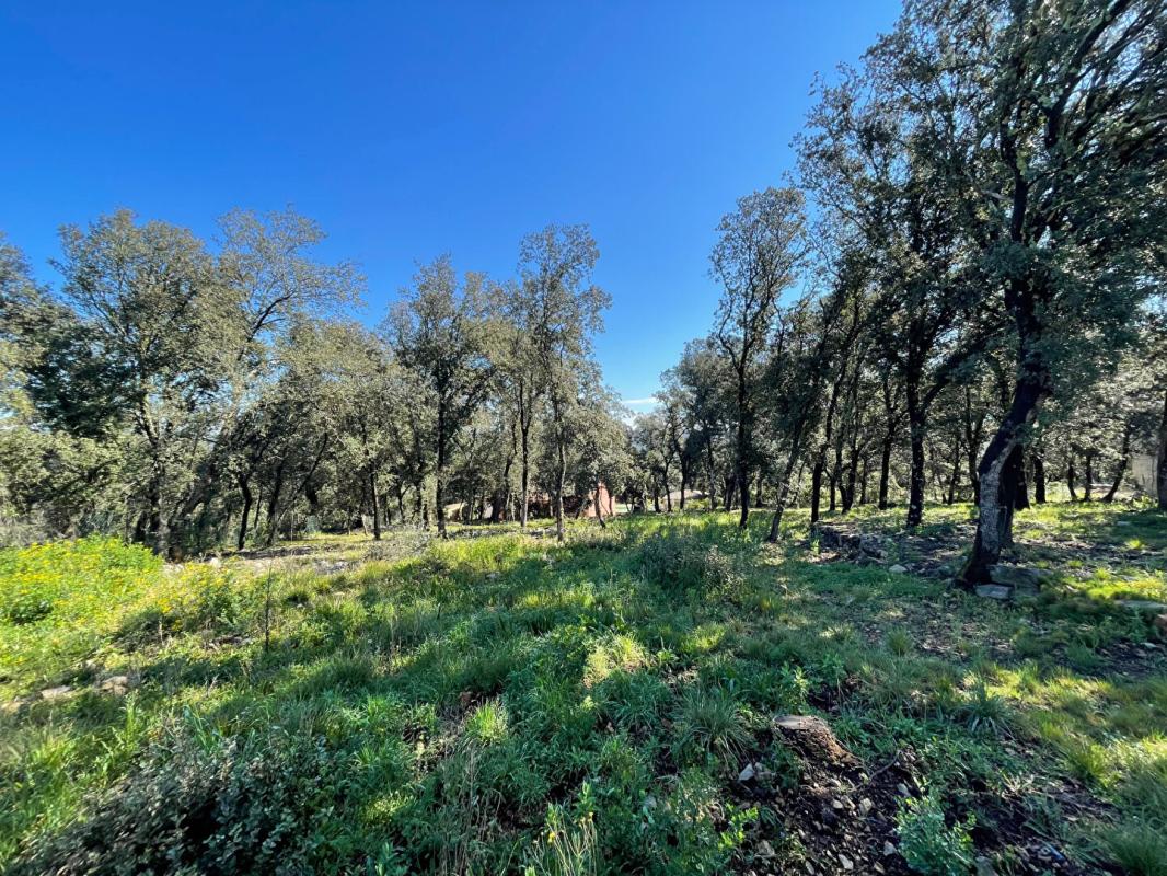 LE THORONET Terrain constructible 2214 m2 1