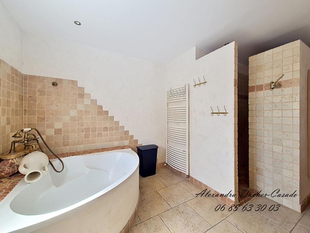 LES MEES VILLA PROVENCALE DE CARACTERE 11