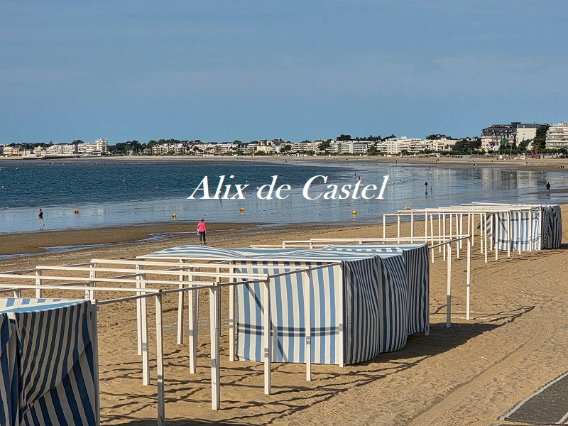 LA BAULE-ESCOUBLAC LA BAULE (44 500) Face mer, appartement 51 m² avec parking 8