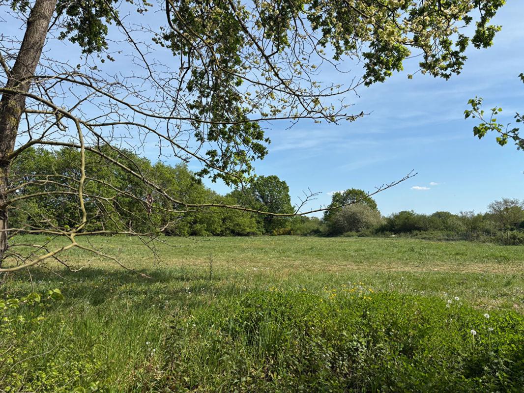 ECUILLE Terrain Ecuille 660 m2 1