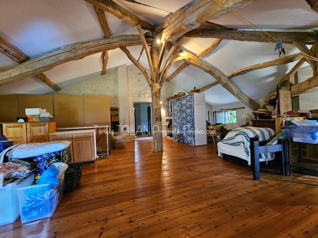 LAROQUE-TIMBAUT Laroque-Timbaut, maison 18ème, 324 m², 10 pièces, double garage, terrasses, vue 8