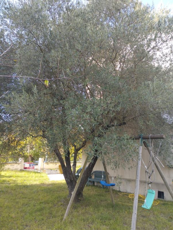 QUILLAN MAISON DE STYLE ART DECO 16