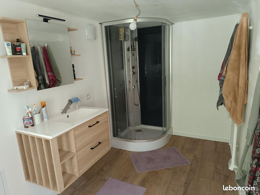 ORGERES-EN-BEAUCE Maison Orgeres En Beauce 5 pièce(s) 28140 9