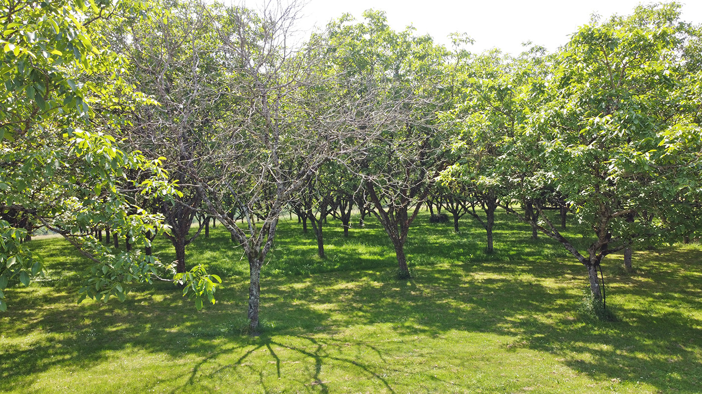 TAMNIES Propriété Tamnies 9 pièce(s) 231 m2 18