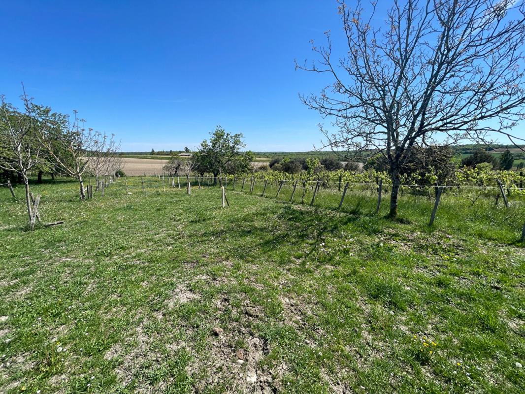 LEGUILLAC-DE-CERCLES Maison  de charme en pierre 17