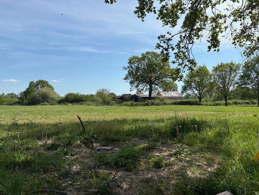 SOULAIRE-ET-BOURG Terrain Ecuillé 599 m2 1