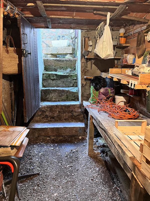 THIZY Maison Thizy Les Bourgs 4 pièces 77m2 ,caves et jardin de 150m2 13