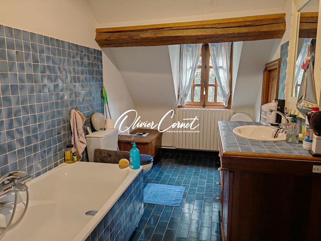 NOGENT-LE-ROTROU Propriété Parc National Naturel du Perche 14