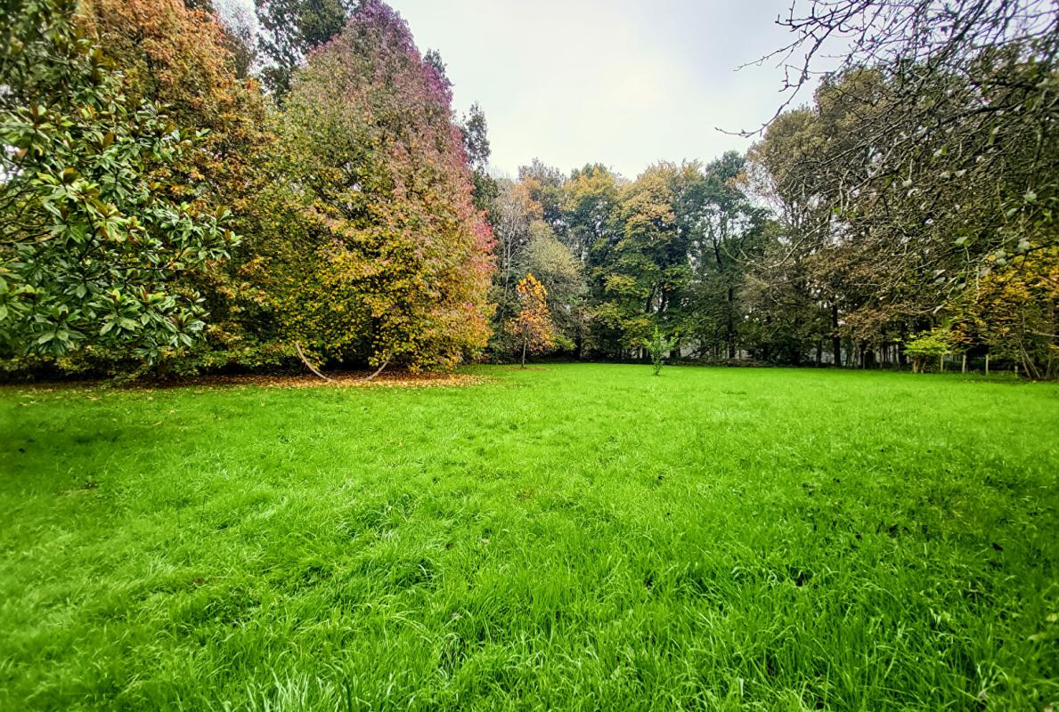 PLEUDIHEN-SUR-RANCE Magnifique demeure de plus 350 m² + un gîte dans un havre de paix 17