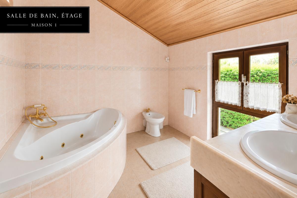 CHASSIEU Ensemble immobilier sur terrain paysager de 1302 m² 5