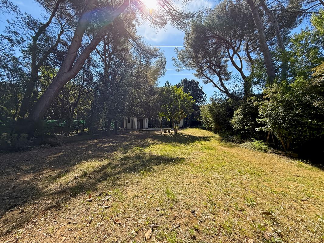 CARPENTRAS À vendre propriété à Carpentras avec piscine et gîtes 14