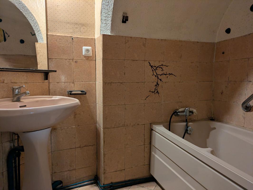 LA CHARITE-SUR-LOIRE Immeuble d'habitation et commercial La Charité Sur Loire  avec jardin 13