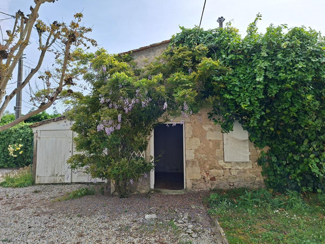 SAINT-ESTEPHE Demeure de prestige maison de maître  8 pièces maison  et petite maison 80 m2 8