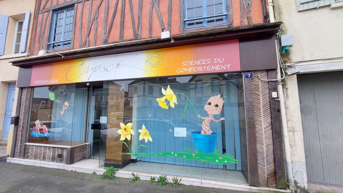 DREUX Immeuble centre ville Dreux 12 pièce(s) 265 m2 2