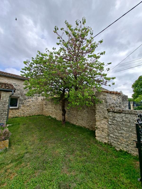 SAINT-SAVINIEN Maison  Saint Savinien17350  189 m2 + Garage et Dépendances 15