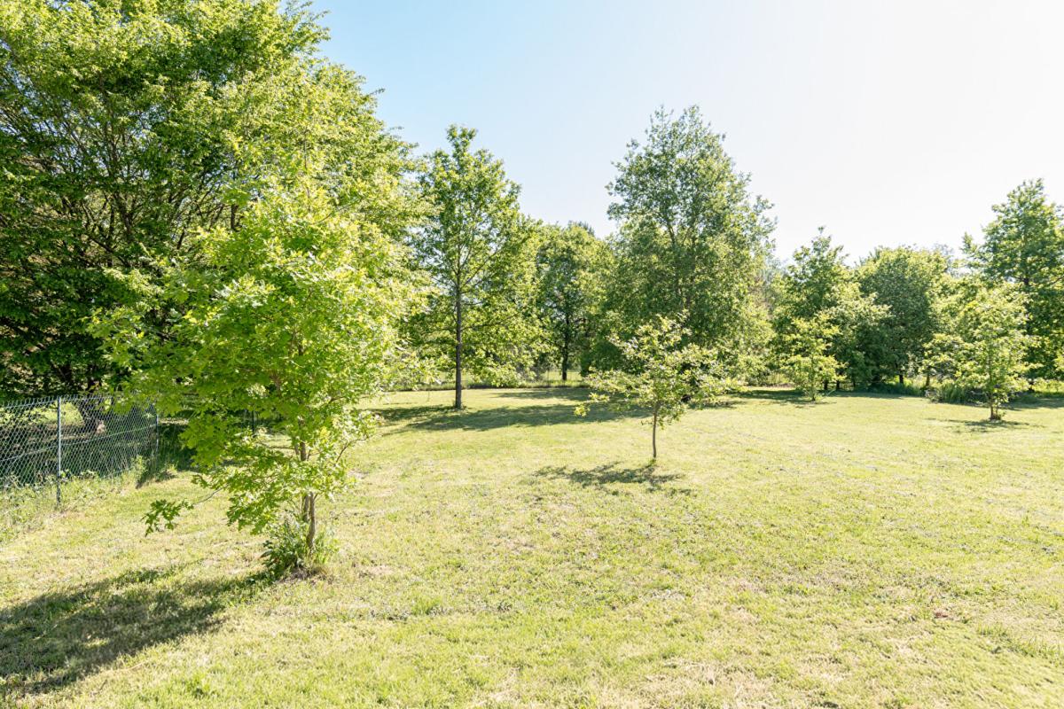 MONT-PRES-CHAMBORD LIEUX UNIQUES ® x PROPRIÉTÉS PRIVÉES PROPOSE MAISON CONTEMPORAINE 113 M² - MONT-PRÈS-CHAMBORD - TERRAIN 2860 M² 7