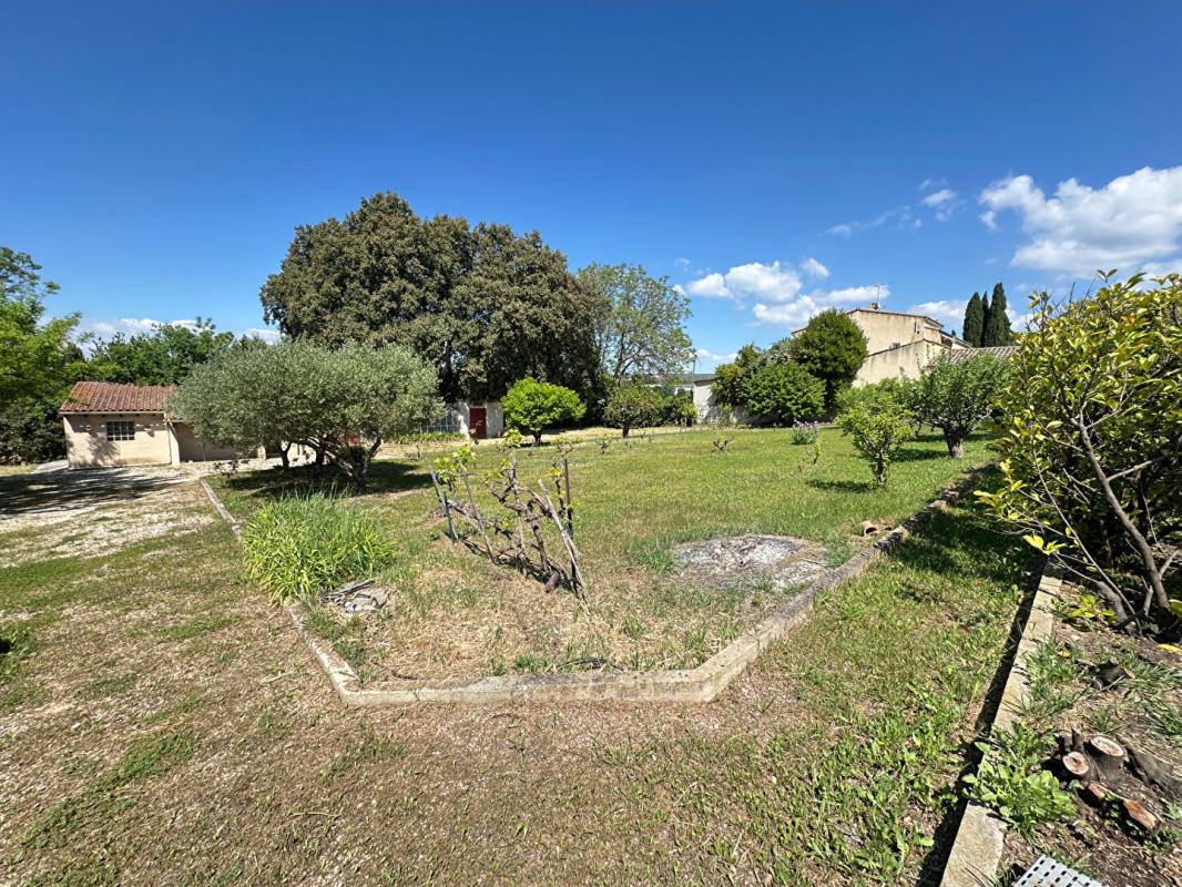 SAINT-VICTORET Maison T5 a louer a St Victoret avec un grand jardin 12