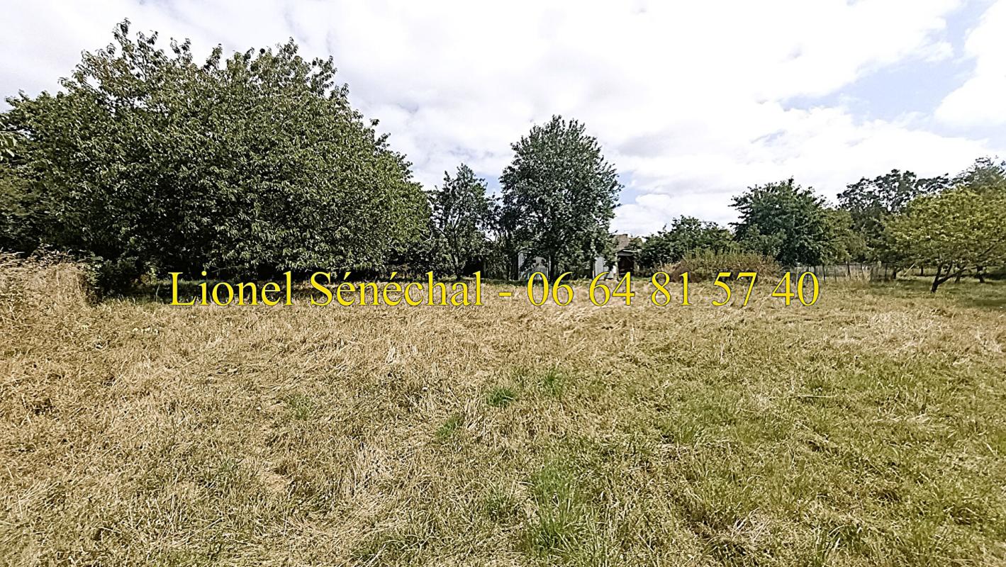 BEAUMONT-SUR-SARTHE Maison entièrement de plain - pied rénovée, lumineuse et peu énergivore de 7 pièces de 90 m2 habitables 11