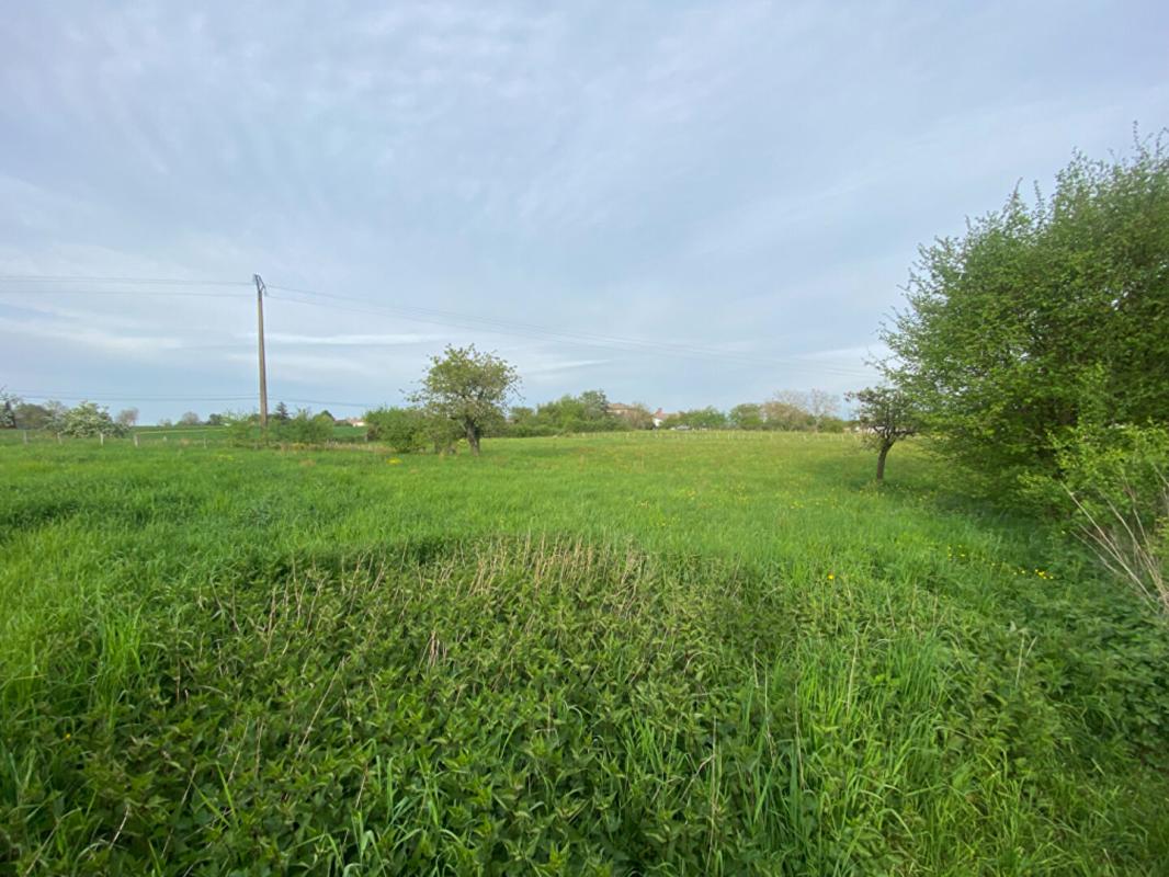 UCHIZY EXCLUSIVITÉ - Ancienne ferme à vendre avec dépendances à Uchizy 18