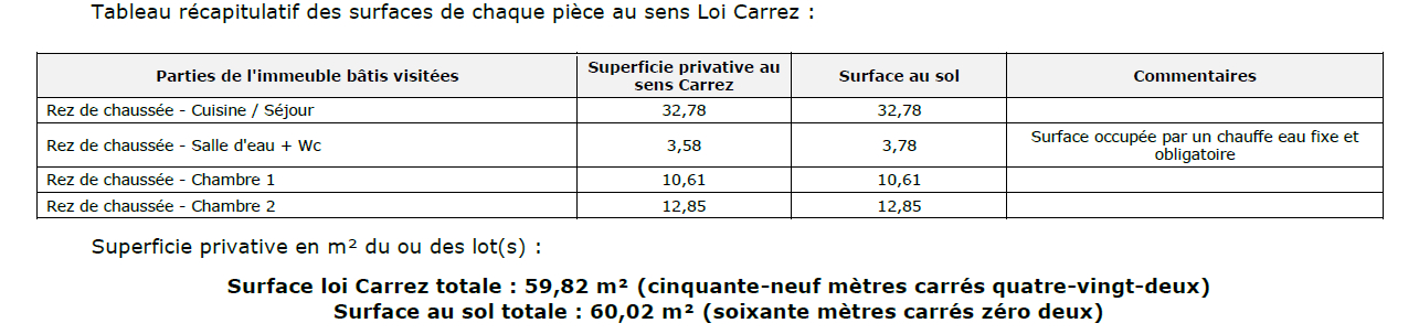 GRENOBLE Appartement T3, 2 chambres Rue Coppée DPE D 60 m² RDC surélevé investisseur primo accédant 12