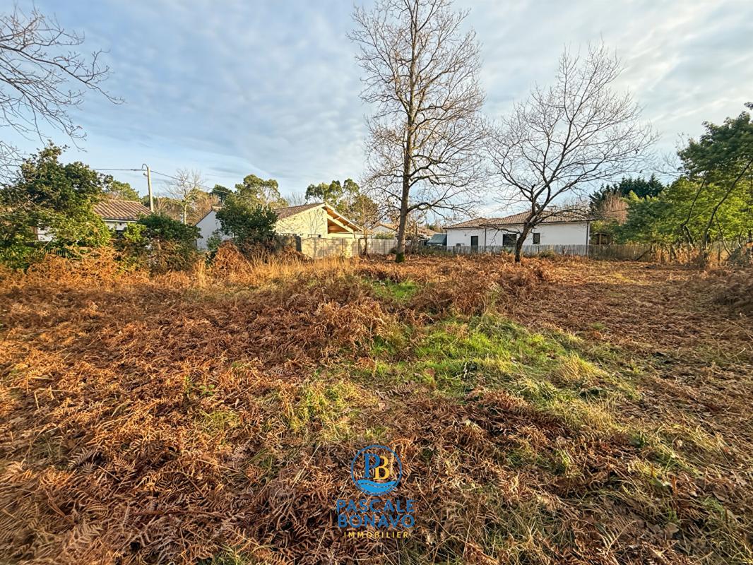 HOURTIN HOURTIN  - TERRAIN VIABILISE - HORS LOTISSEMENT 3