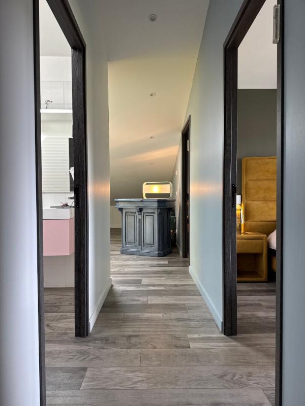 BRINDAS DUPLEX D'EXCEPTION 170 m2 avec terrasse 45m2 11