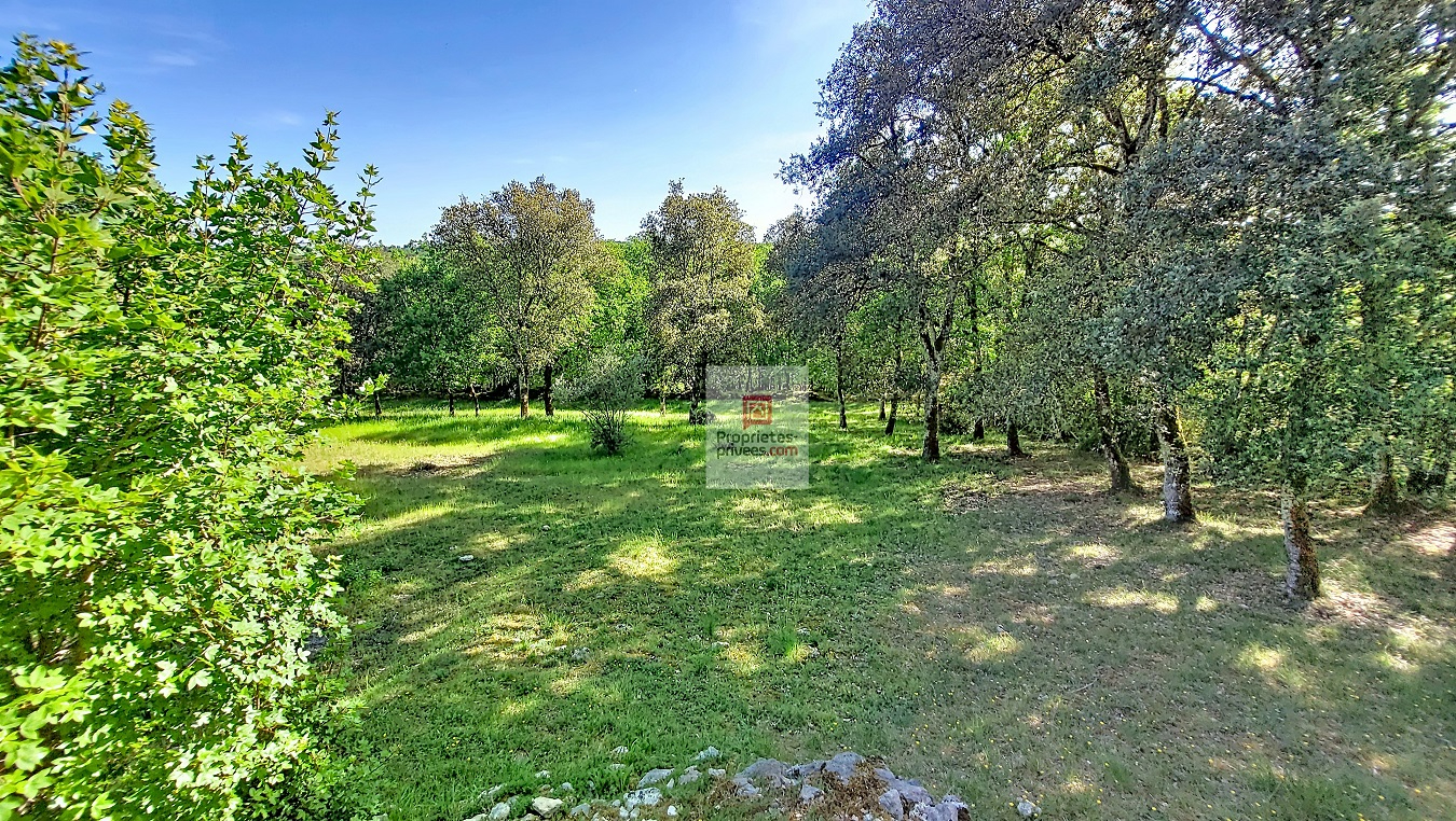 LES EYZIES-DE-TAYAC-SIREUIL Une propriété volontairement à l'écart, pour ceux qui privilégient le silence, la discrétion et un cadre naturel préservé. 4 chambres. Terrain environ 1 hectare 5