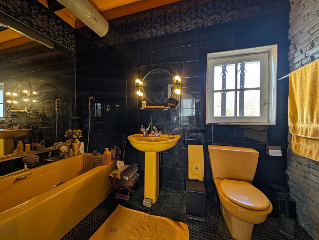 PORTET-SUR-GARONNE Demeure de caractère avec dépendance et garage sur terrain de 1100 m² 9