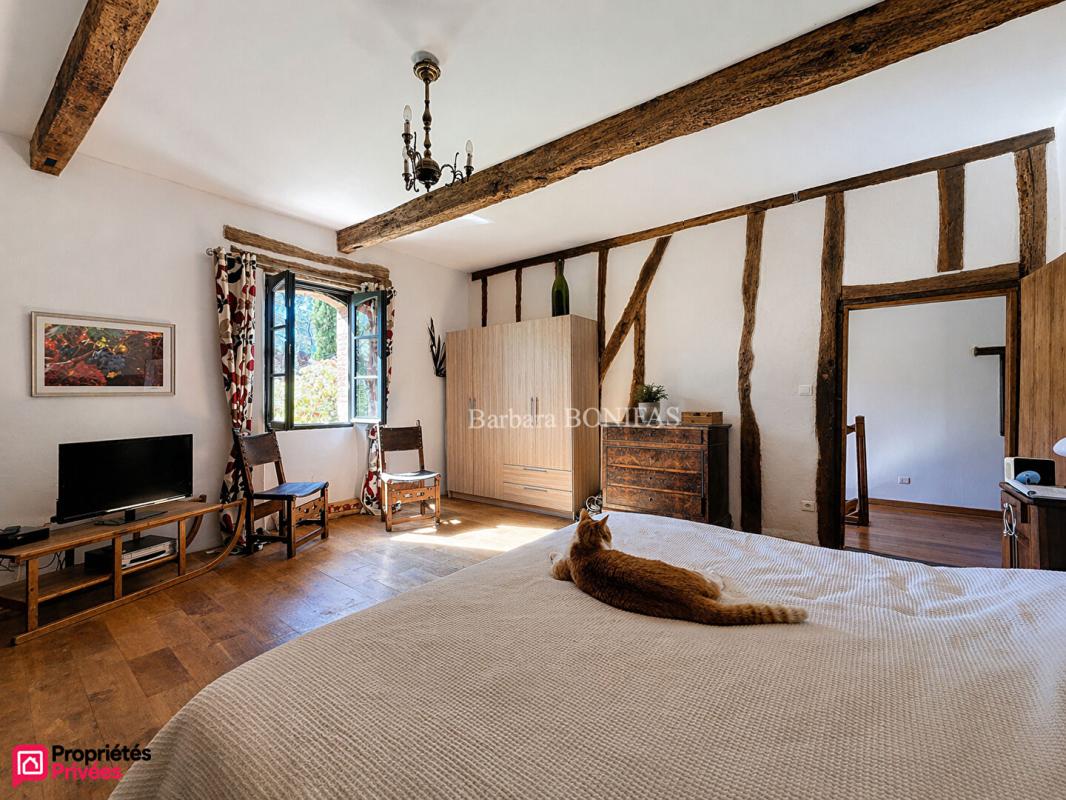 SAINT-SULPICE-LA-POINTE Maison 7 pièces 243 m2 11