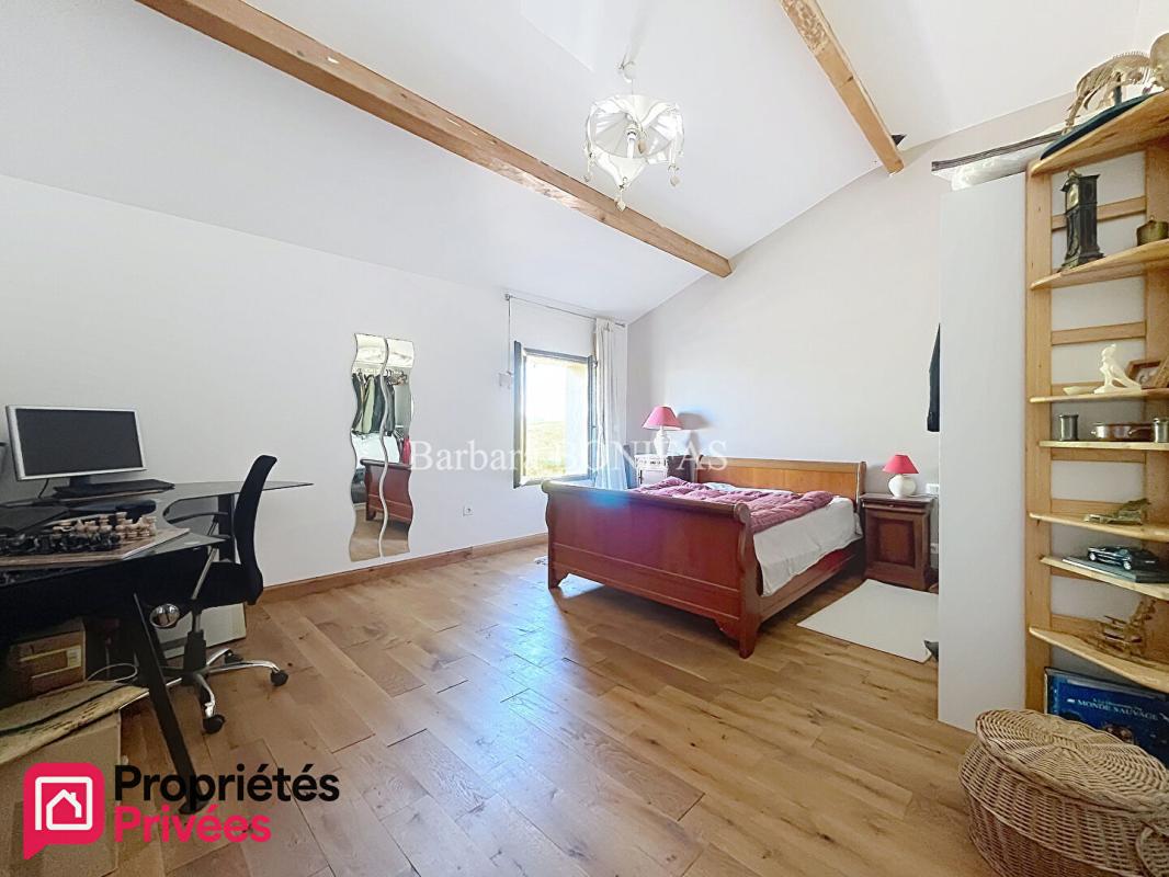 SAINT-SULPICE-LA-POINTE Maison 7 pièces 243 m2 12