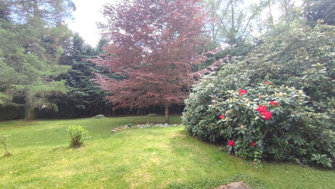 LANOBRE Charmante Maison dans beau quartier de Lanobre 15270 2